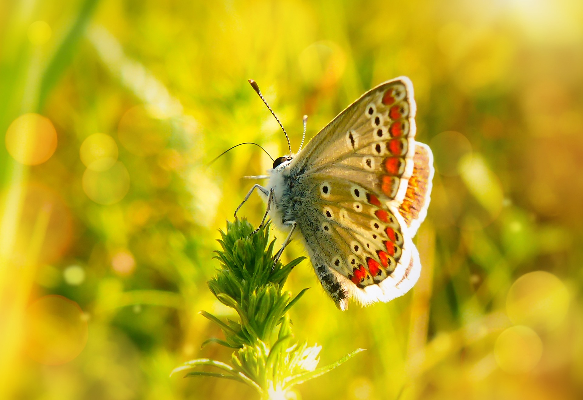 Biologia: fondamenti per comprendere la vita